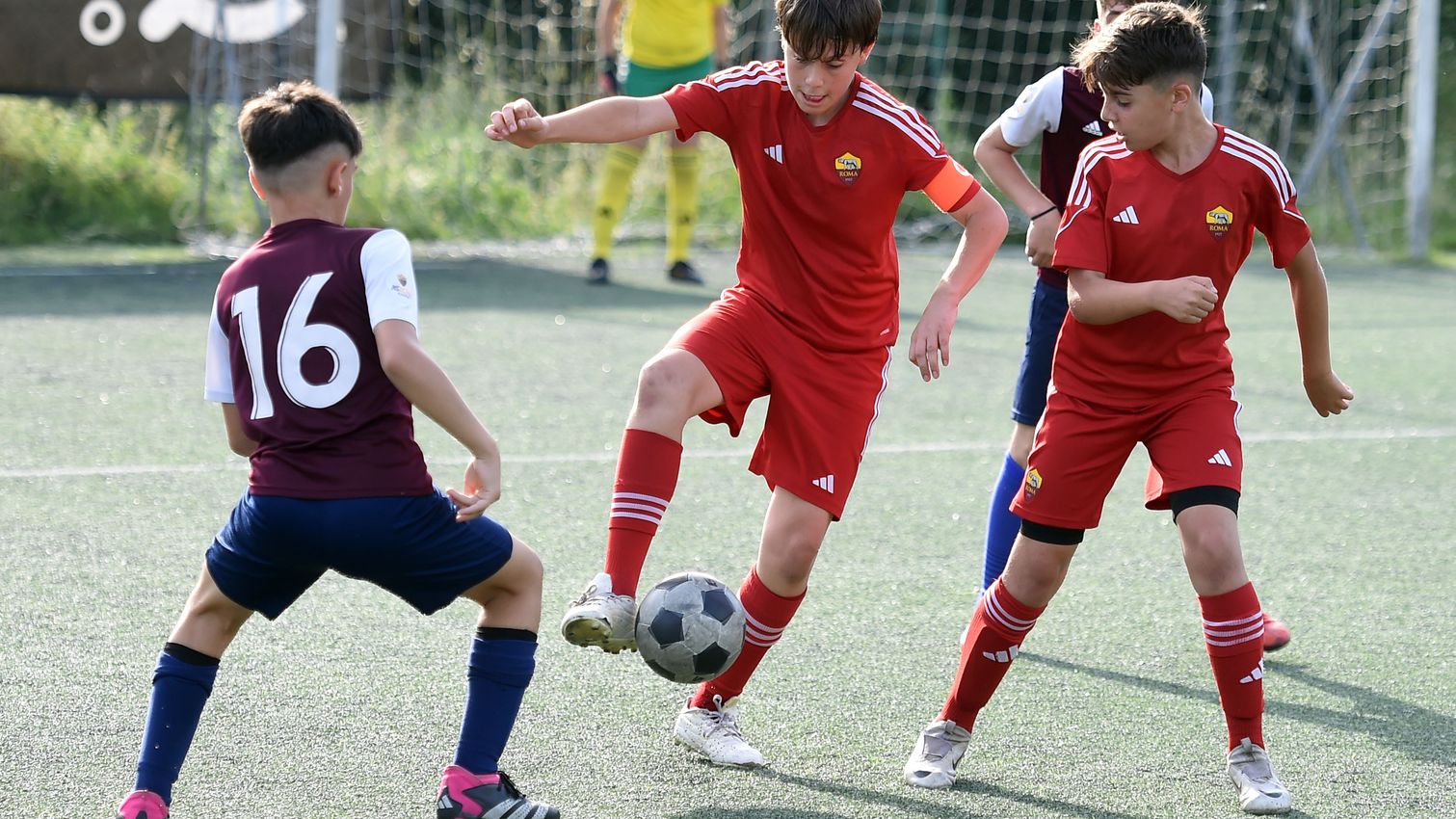 As Roma Gallery Image - Memorial Losi